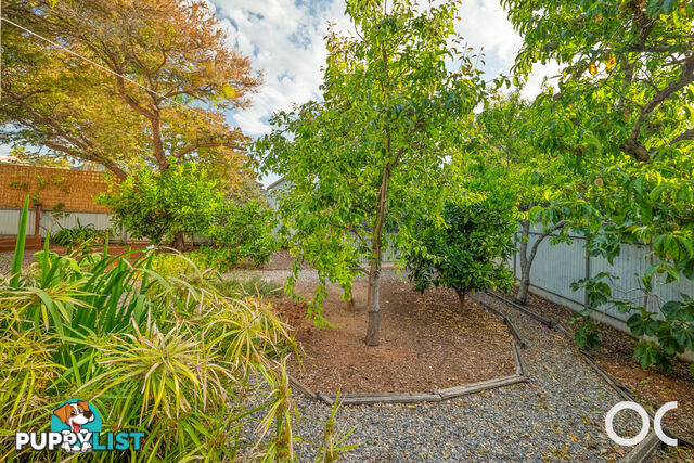 4 Firth Place Sellicks Beach SA 5174