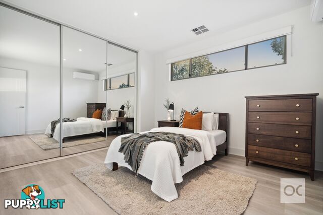 54a Miller Street Unley SA 5061