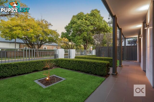 54a Miller Street Unley SA 5061