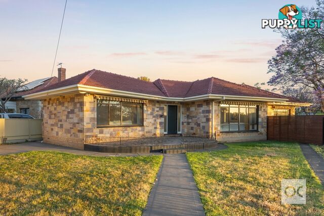 50 Dinwoodie Avenue Clarence Gardens SA 5039