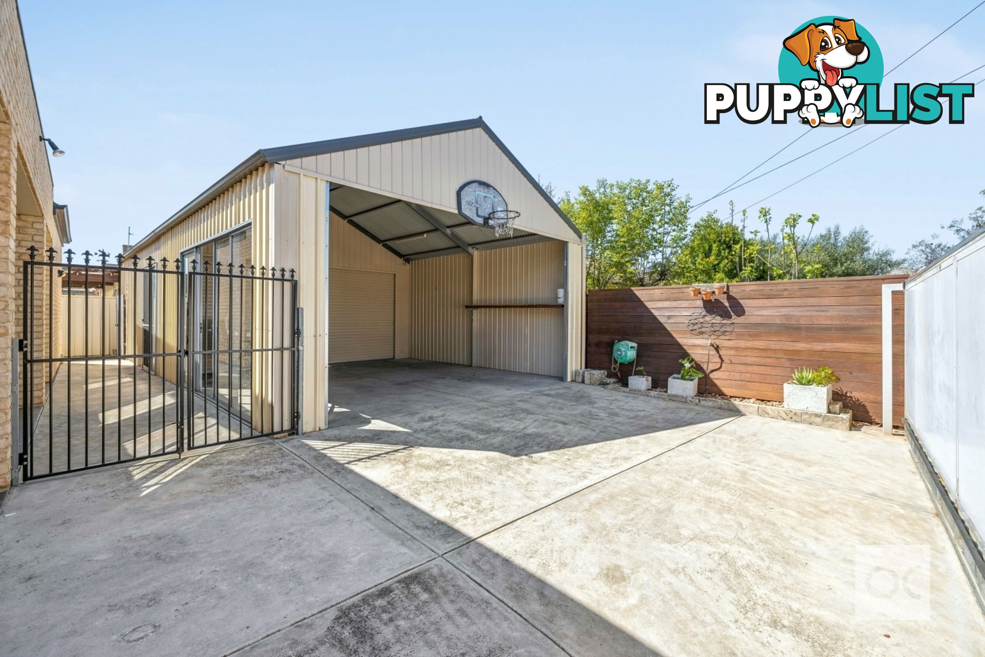 15 Kildare Avenue Marden SA 5070