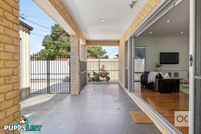 15 Kildare Avenue Marden SA 5070