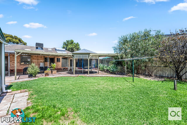 69 Mckenzie Road Elizabeth Downs SA 5113