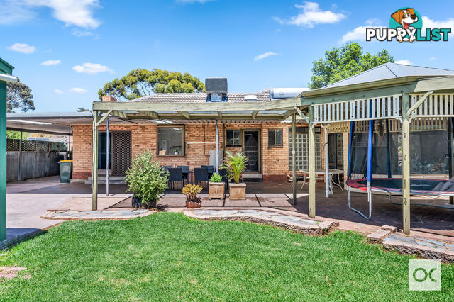 69 Mckenzie Road Elizabeth Downs SA 5113