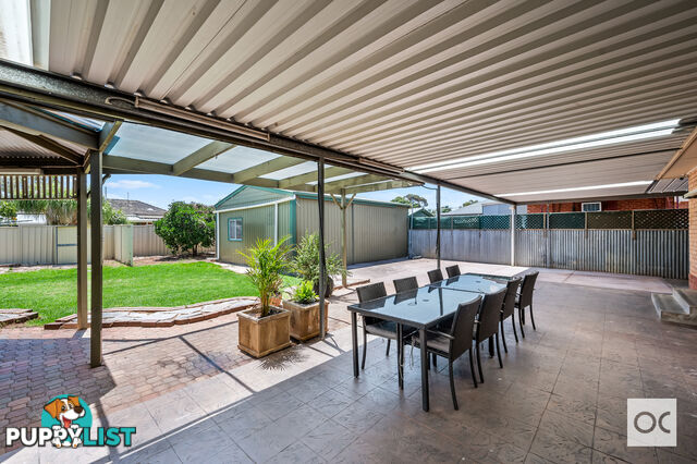 69 Mckenzie Road Elizabeth Downs SA 5113