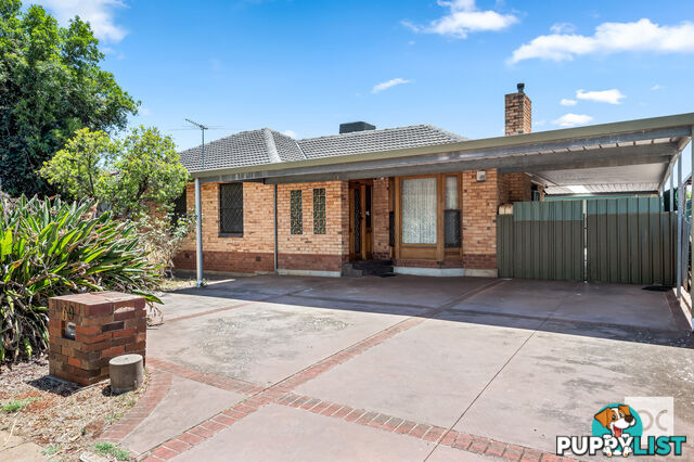 69 Mckenzie Road Elizabeth Downs SA 5113