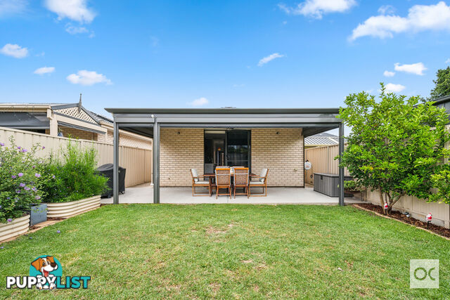 21a Allison Street Ascot Park SA 5043