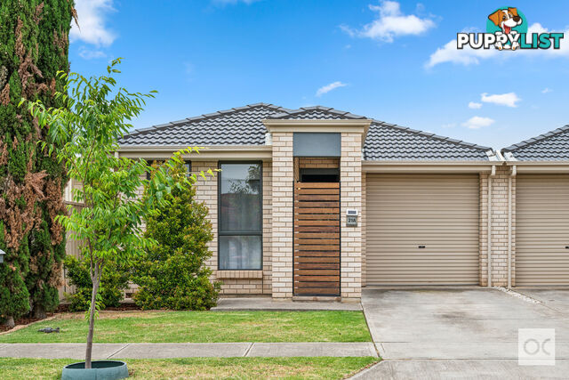 21a Allison Street Ascot Park SA 5043