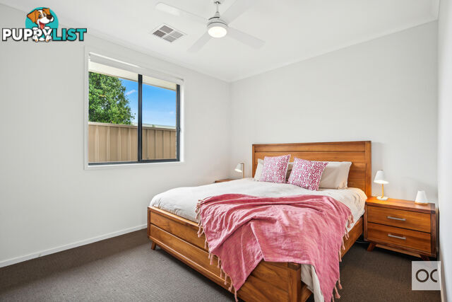 21a Allison Street Ascot Park SA 5043