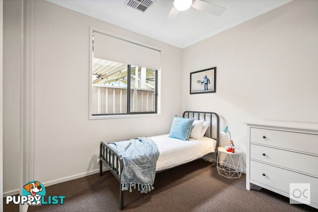 21a Allison Street Ascot Park SA 5043