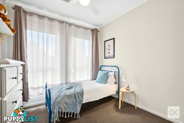 21a Allison Street Ascot Park SA 5043