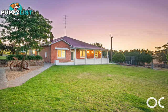 72 Wild Dog Creek Road Wattle Flat SA 5203