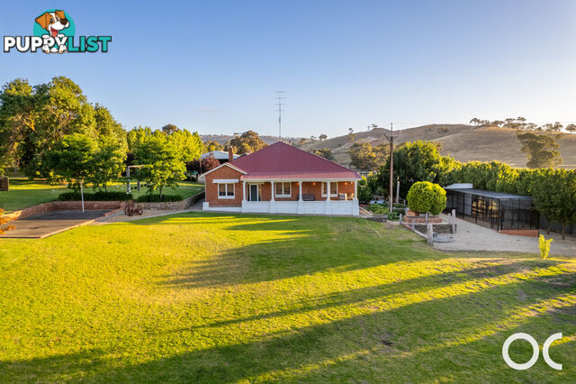 72 Wild Dog Creek Road Wattle Flat SA 5203