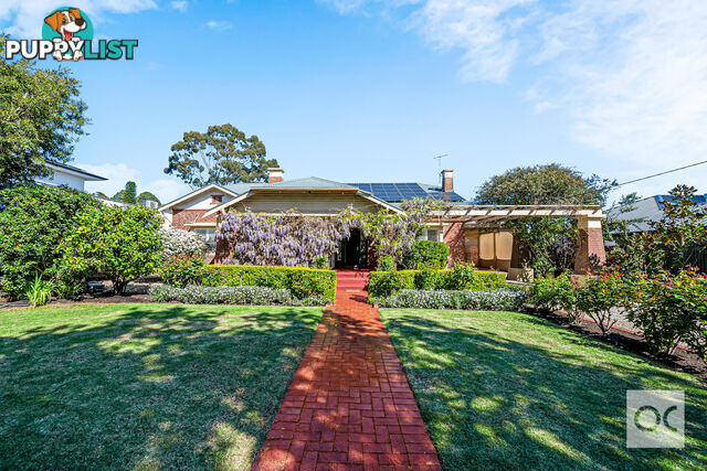 6 Barrelder Road Torrens Park SA 5062