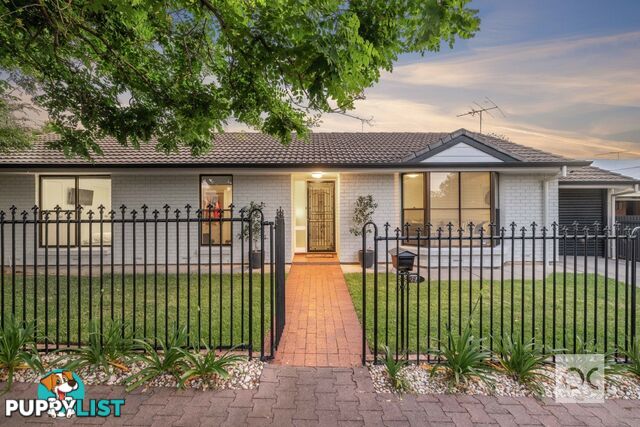 29a Albert Street Prospect SA 5082