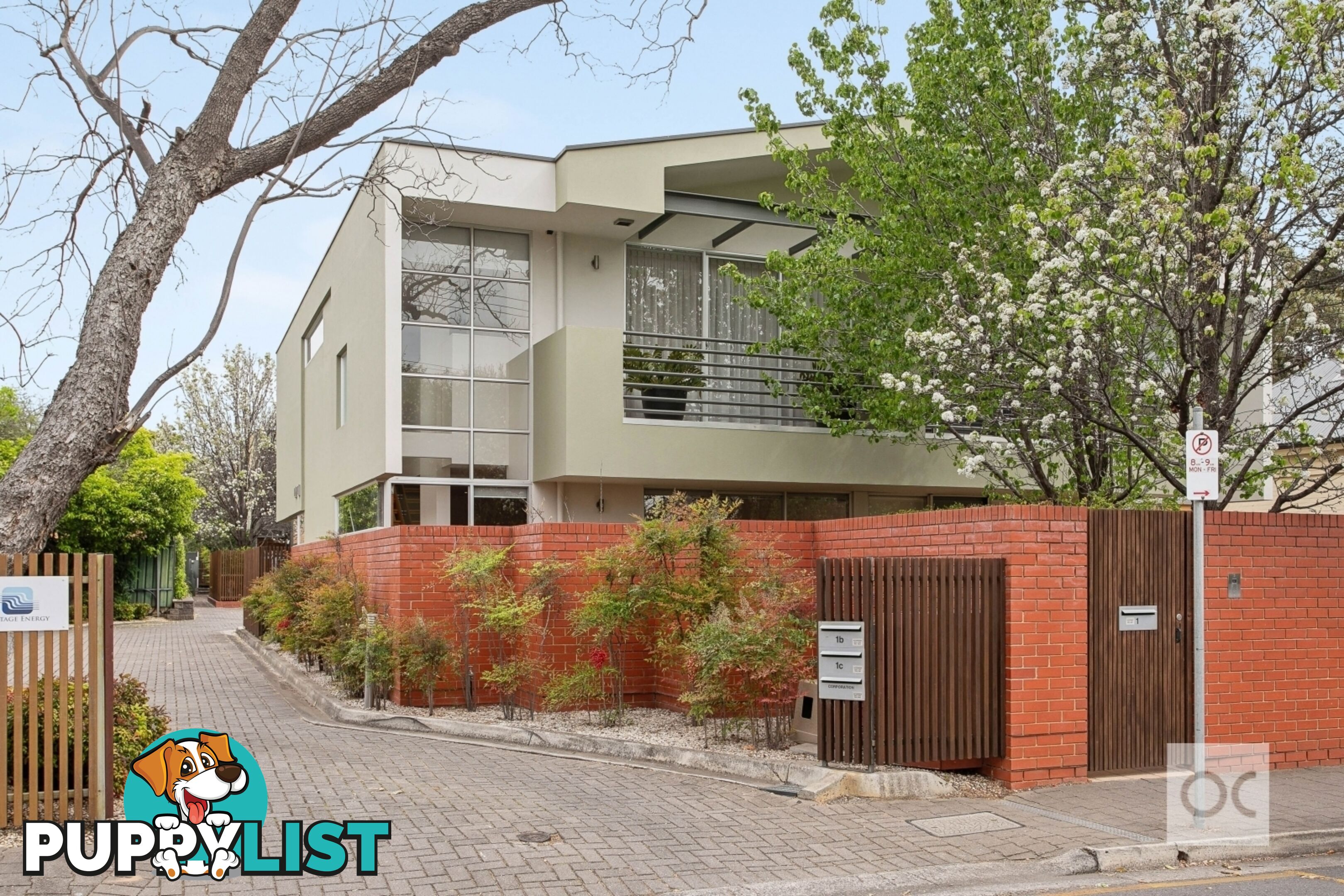 1 Albert Street Goodwood SA 5034