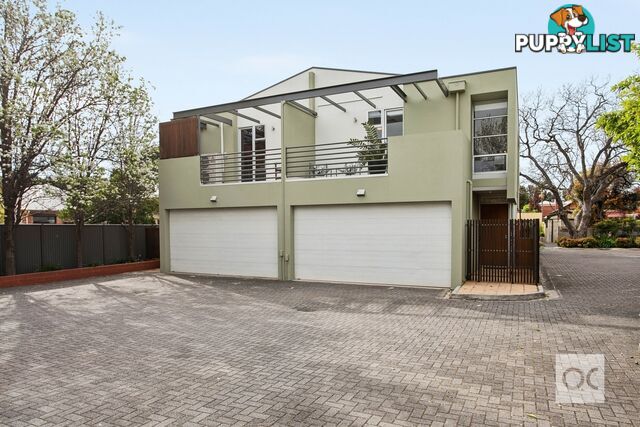 1 Albert Street Goodwood SA 5034