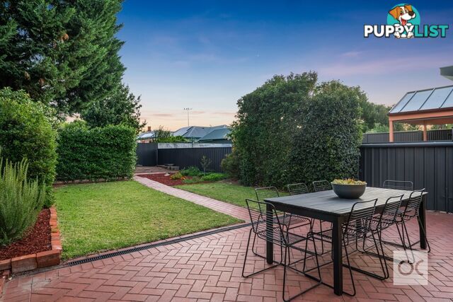 41 Marion Street Unley SA 5061