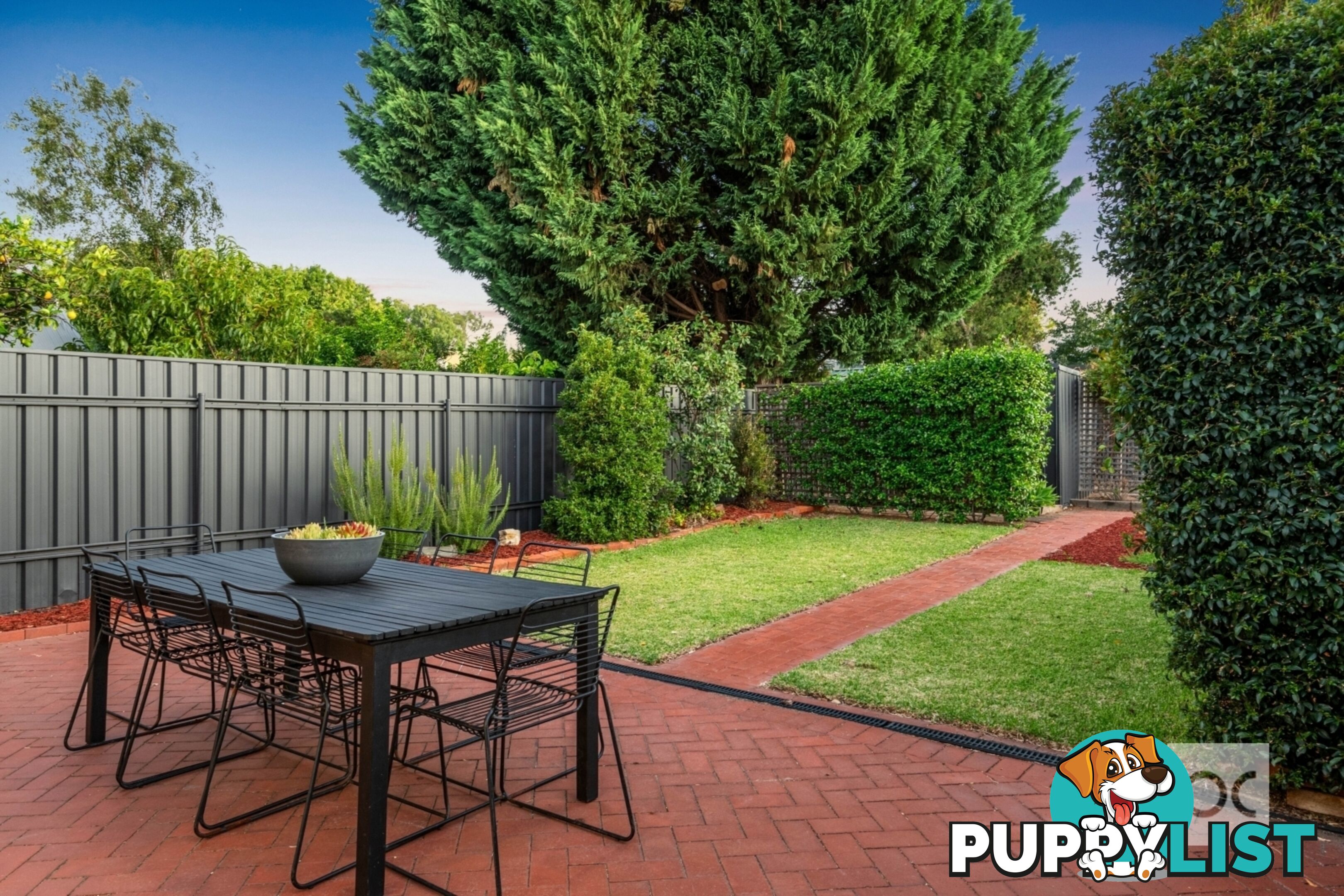 41 Marion Street Unley SA 5061