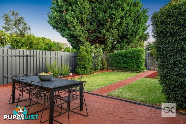 41 Marion Street Unley SA 5061