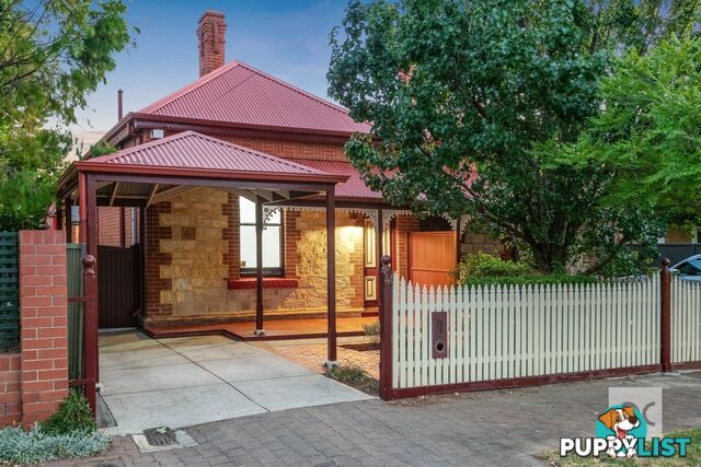 41 Marion Street Unley SA 5061