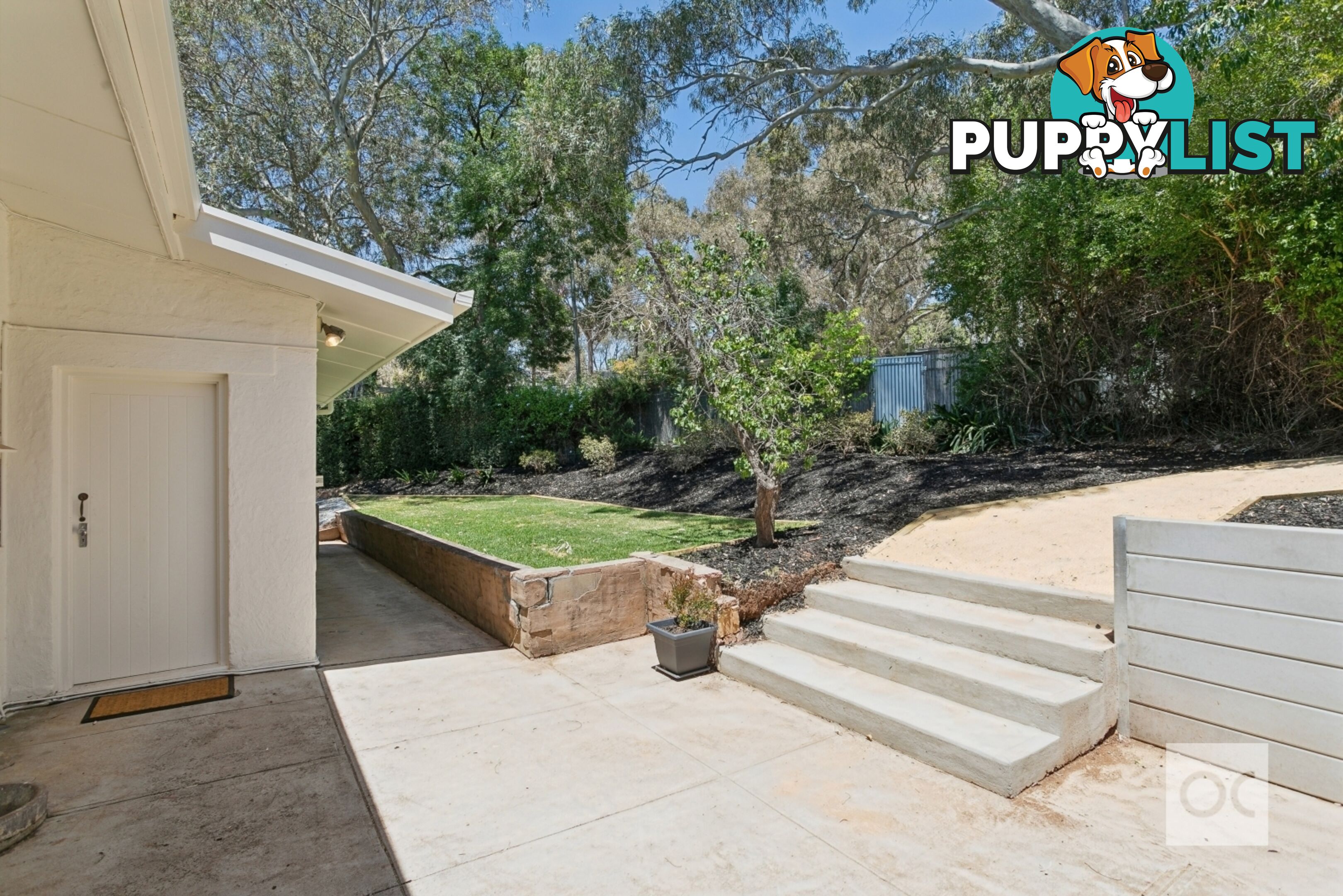 18 Evans Avenue Mitcham SA 5062