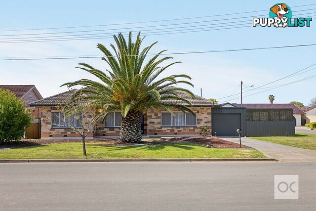 10 Collett Avenue Netley SA 5037