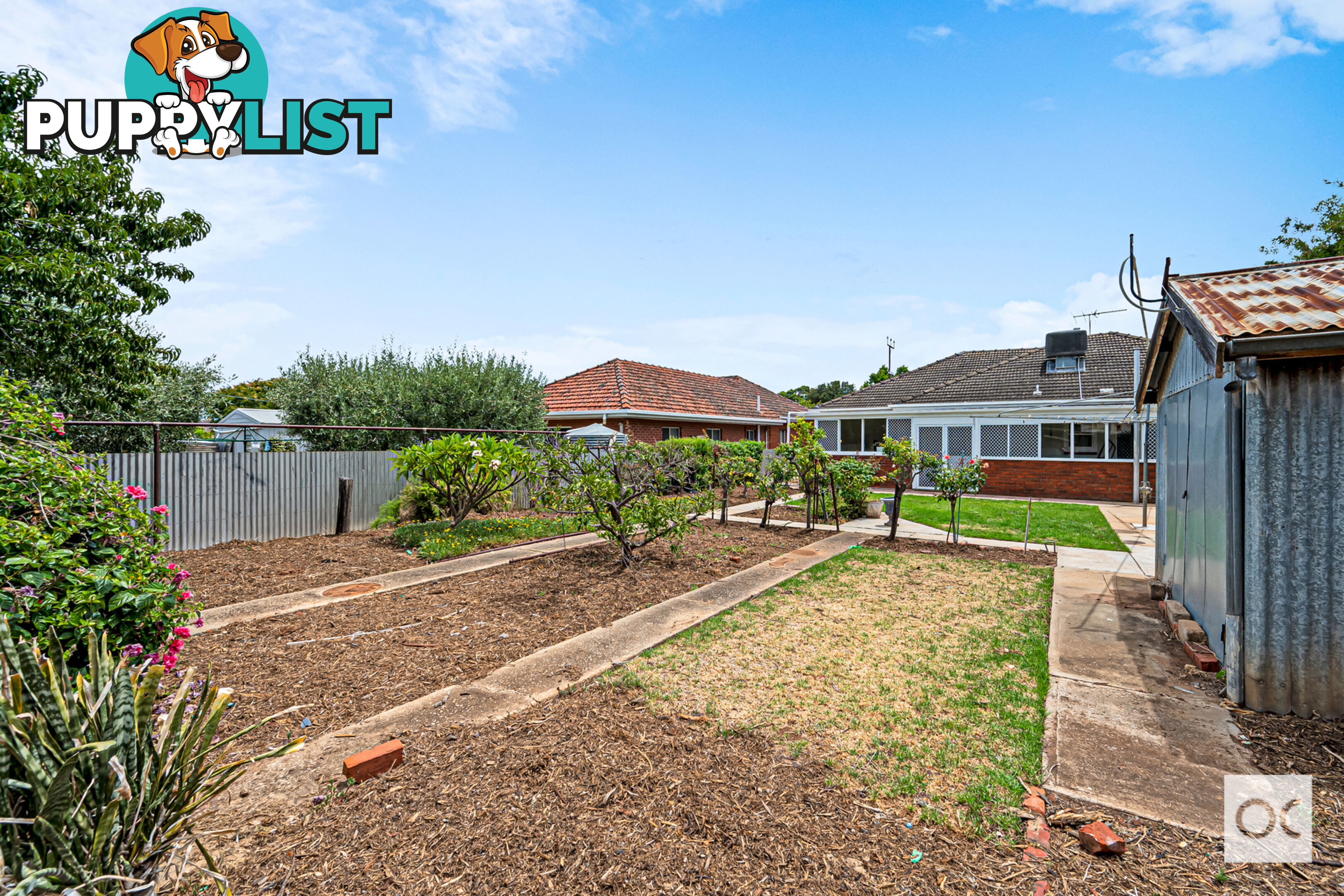 62 Caulfield Avenue Cumberland Park SA 5041