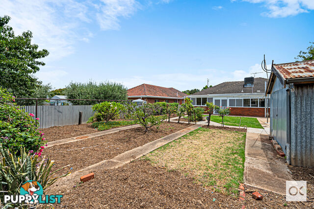 62 Caulfield Avenue Cumberland Park SA 5041