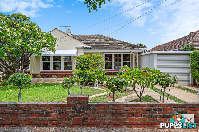 62 Caulfield Avenue Cumberland Park SA 5041