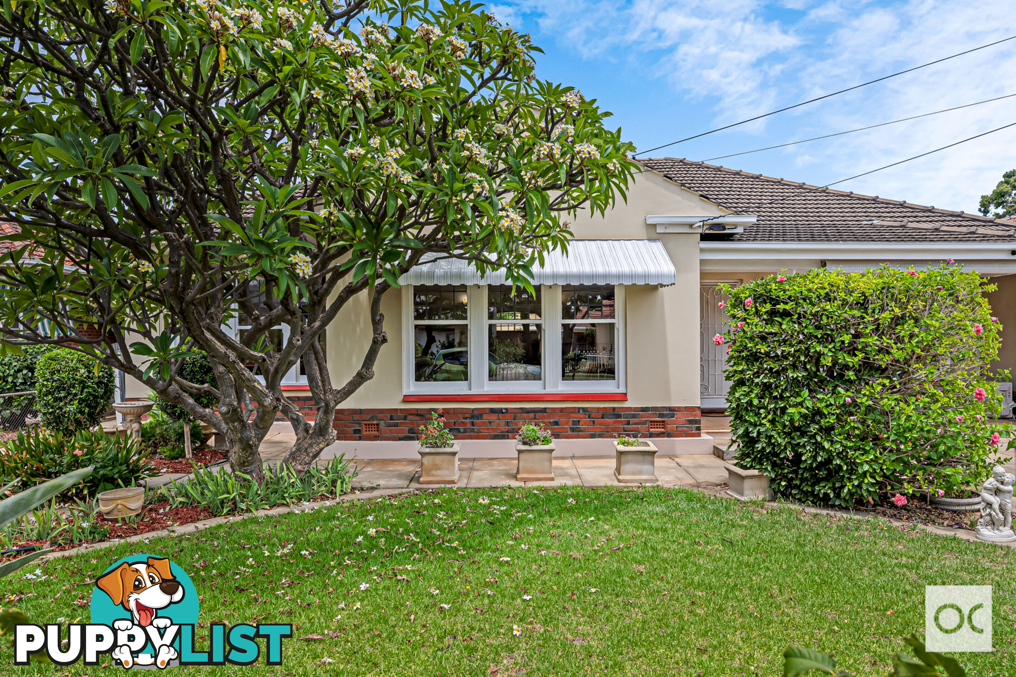 62 Caulfield Avenue Cumberland Park SA 5041