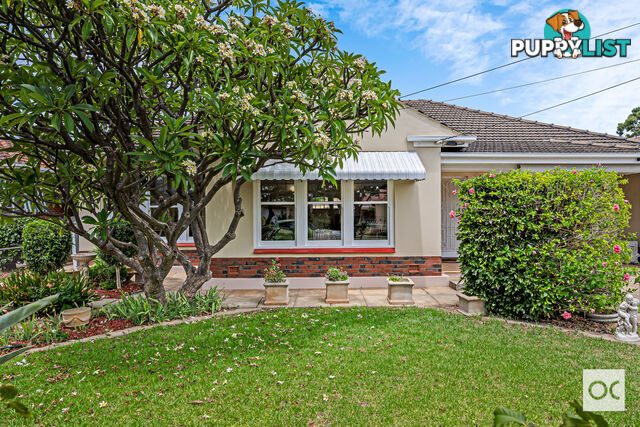 62 Caulfield Avenue Cumberland Park SA 5041