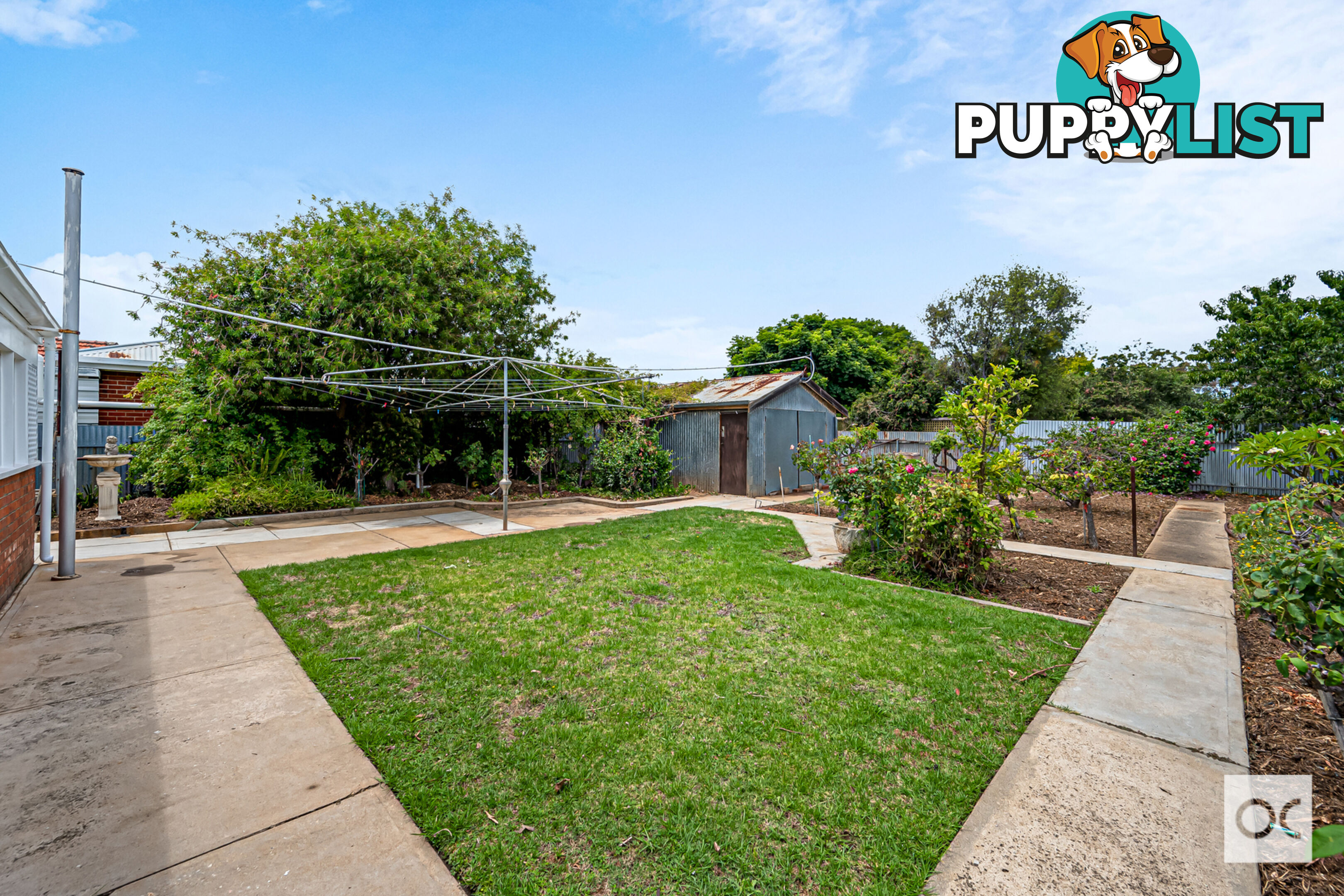 62 Caulfield Avenue Cumberland Park SA 5041