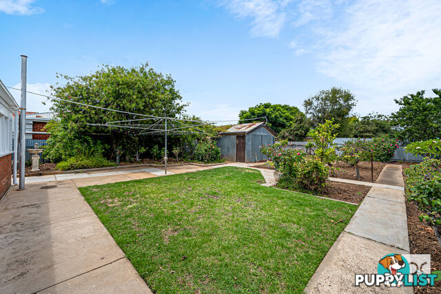 62 Caulfield Avenue Cumberland Park SA 5041