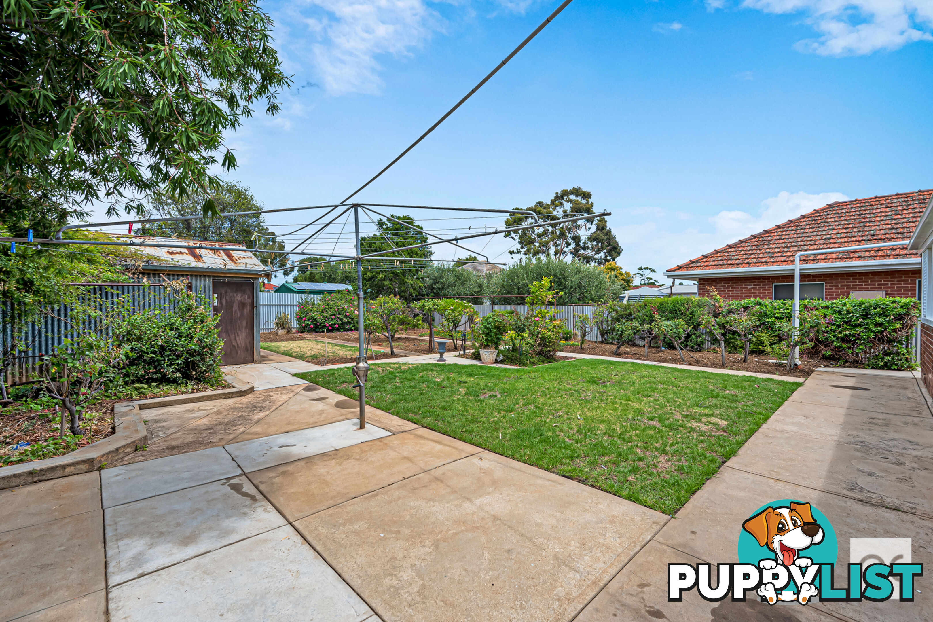 62 Caulfield Avenue Cumberland Park SA 5041