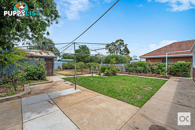 62 Caulfield Avenue Cumberland Park SA 5041