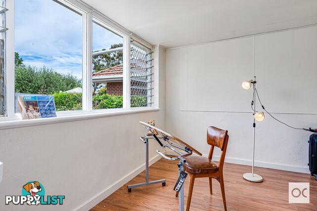 62 Caulfield Avenue Cumberland Park SA 5041