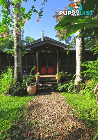 18 Wirramoo Street Kuranda QLD 4881