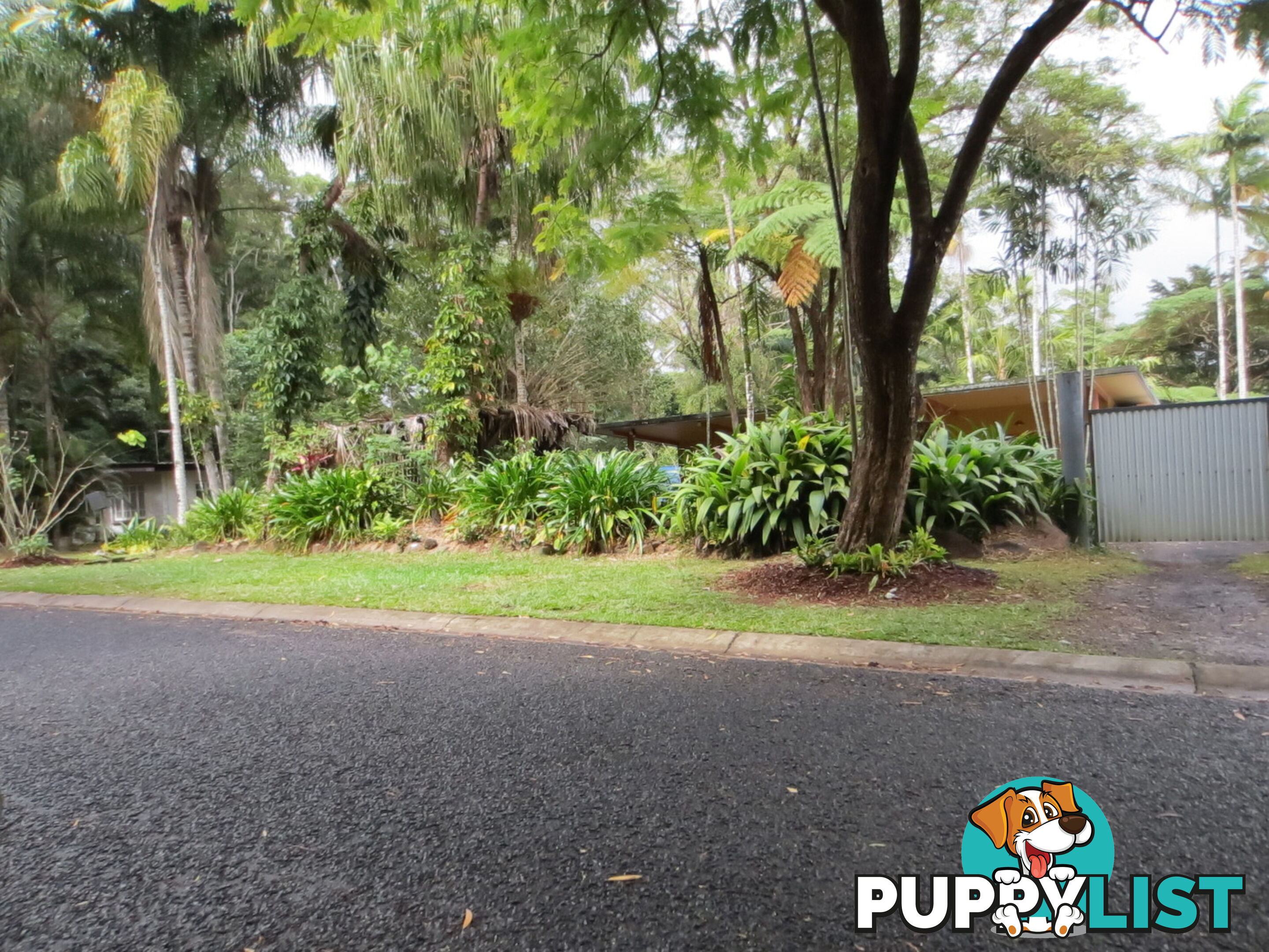 4 Greene Lane Kuranda QLD 4881