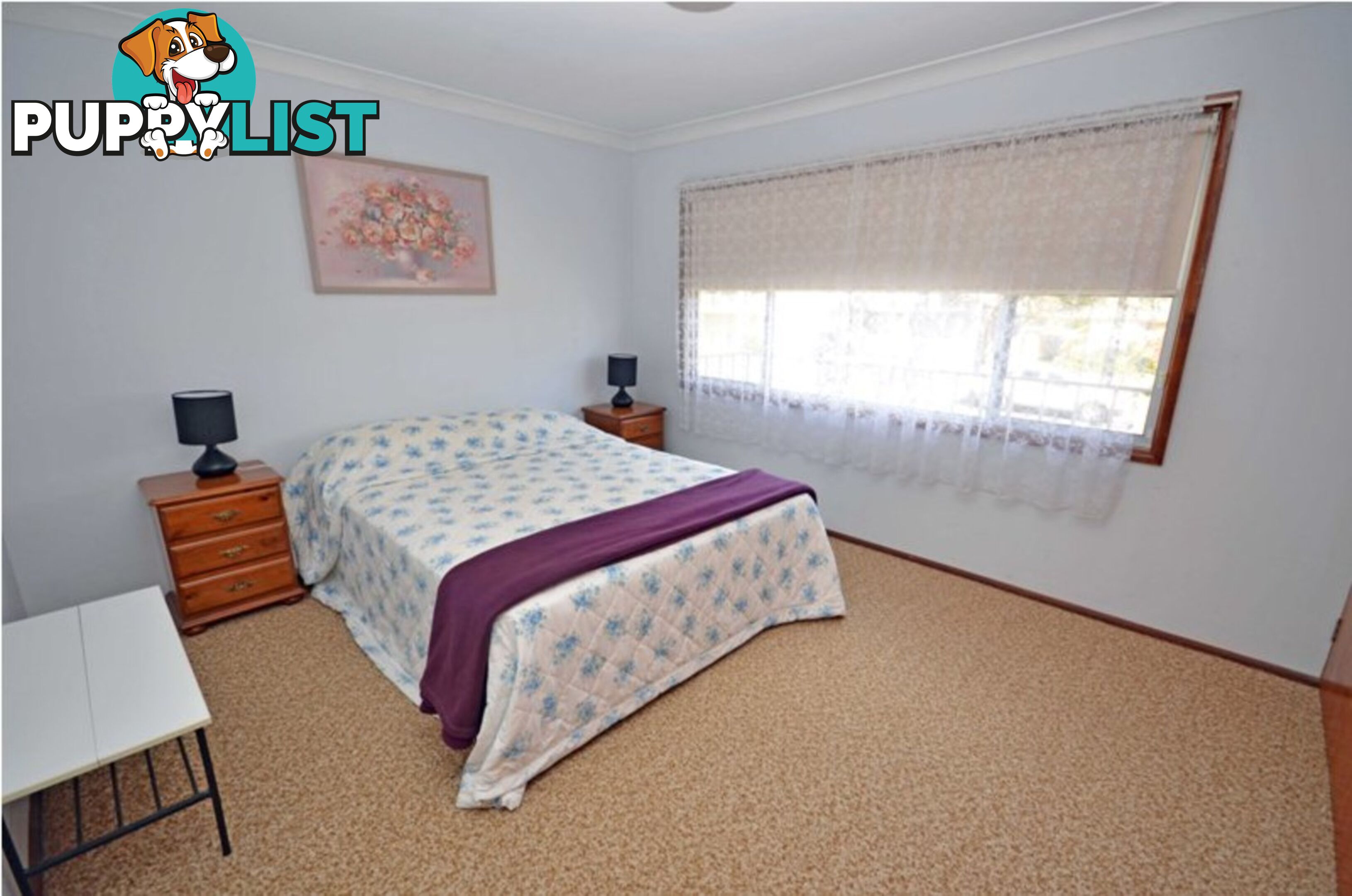 4 Bayside Avenue North Haven NSW 2443