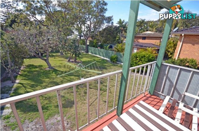 4 Bayside Avenue North Haven NSW 2443