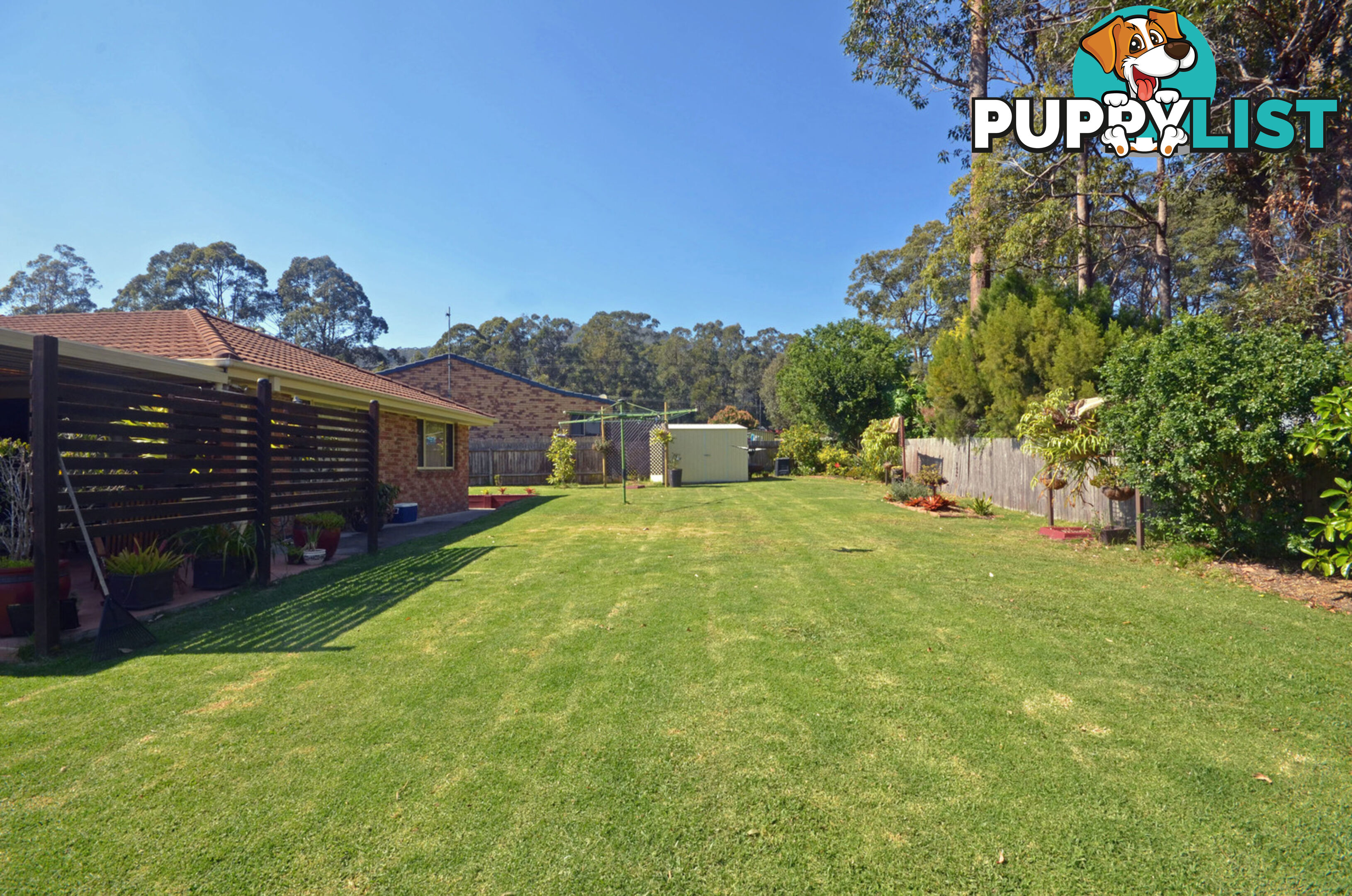 7 Banksia Close Lakewood NSW 2443