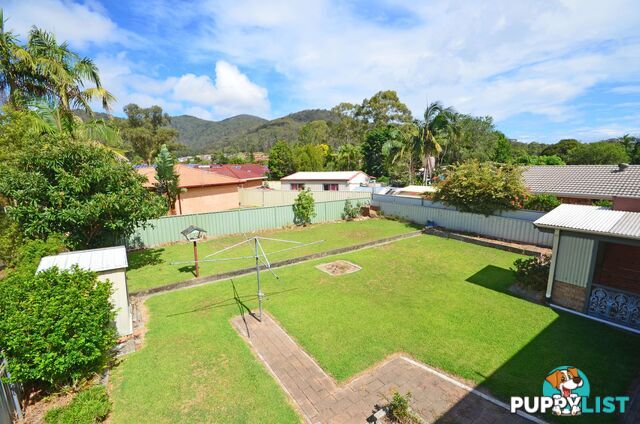 61 Sirius Drive Lakewood NSW 2443