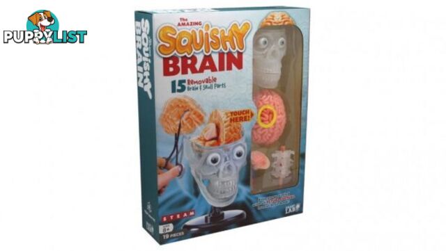 The Amazing Squishy Brain