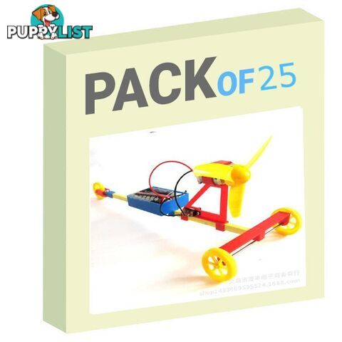 F1 Racing car - Pack of 25