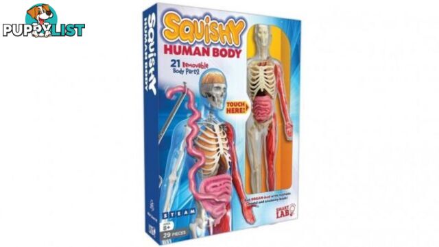 SmartLab Toys Squishy Human Body