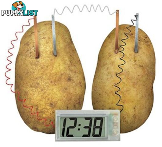 Potato Powered Clock Kit