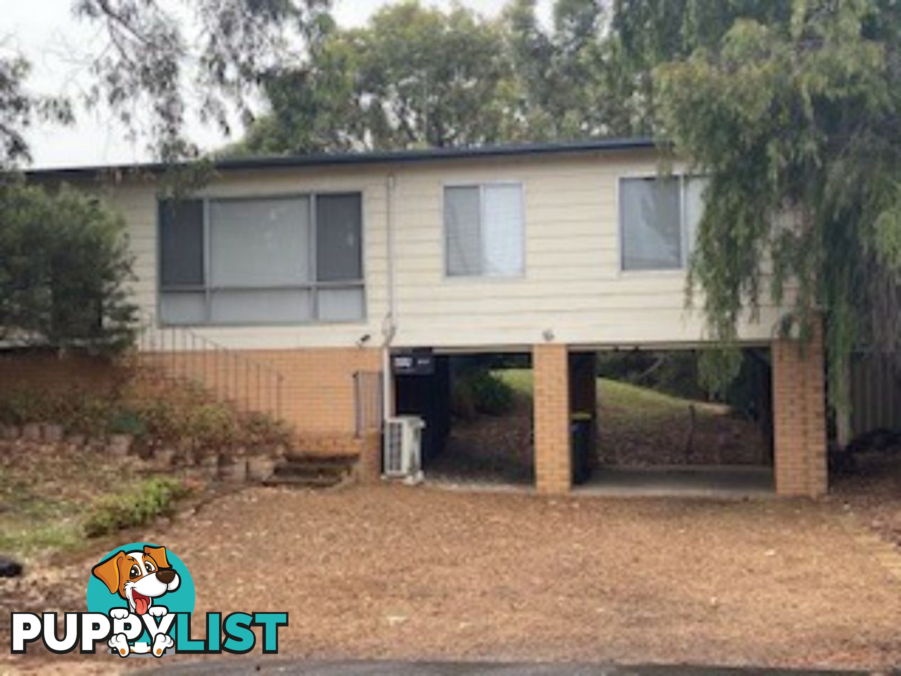 3 Petrel Avenue ENCOUNTER BAY SA 5211