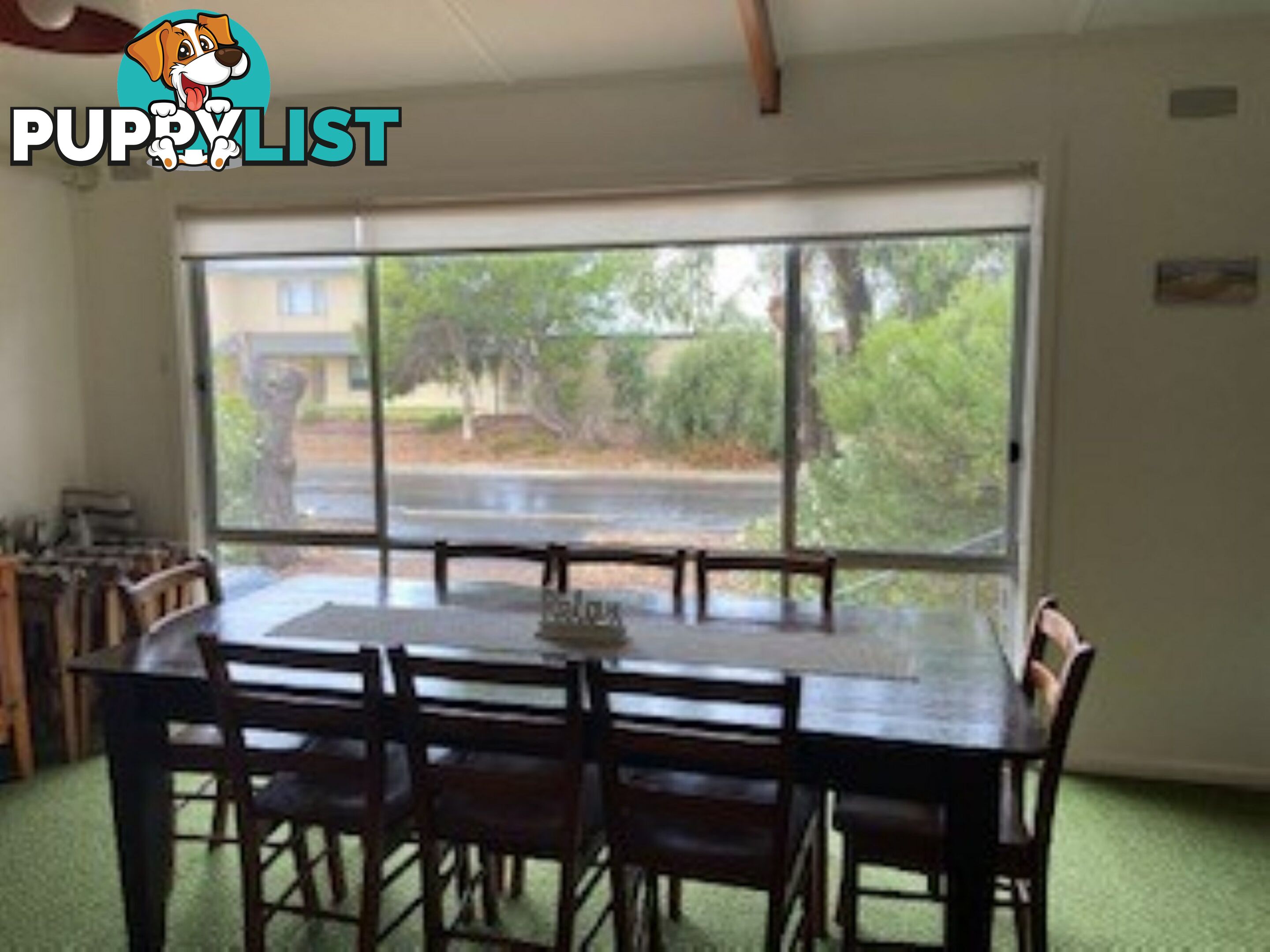 3 Petrel Avenue ENCOUNTER BAY SA 5211