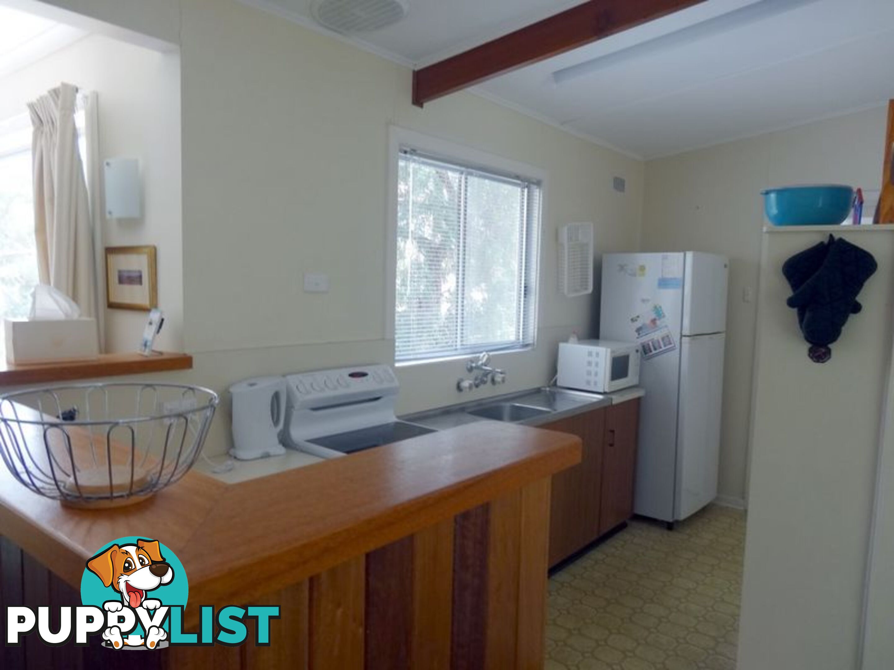 3 Petrel Avenue ENCOUNTER BAY SA 5211